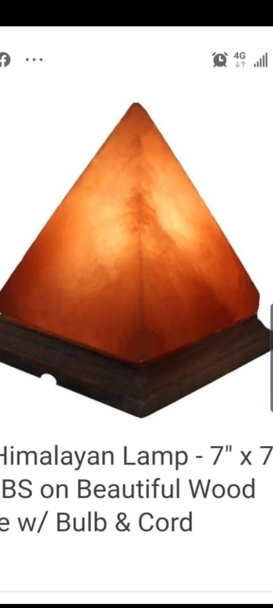 Multi-Unit Himalayan Salt Lamp Fixture for Health Product Distributors